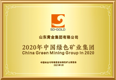 2020年中國綠色礦業集團